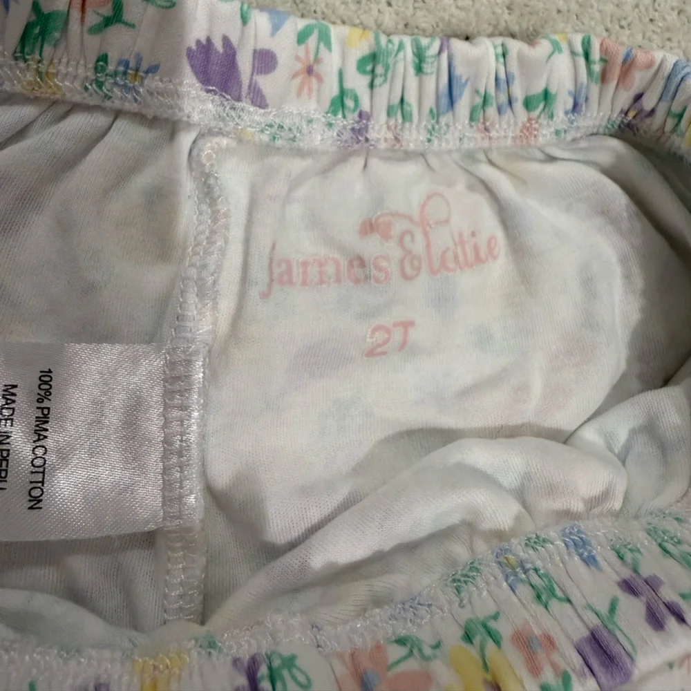 NEW JAMES & LOTTIE girl's ruffle shorts full bloom Size 2T Pristine condition - Picture 4 of 5